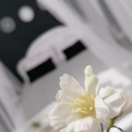 Tesori Di Girgenti Bed & Breakfast